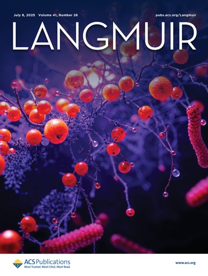 Cover of Langmuir volume 41, issue 26, the issue in which the paper appears.